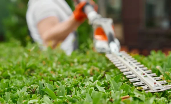 Landscape Improvements